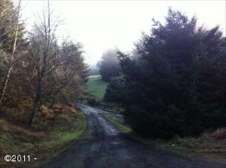 3408 Beaver Creek Rd, Waldport, OR 97394-9616