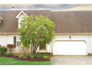 11340 Pelican Cv, Concord Township, OH 44077-9010