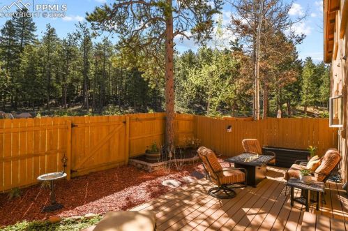 133 Elk Grove Ln, Woodland Park CO 80863-9171 exterior