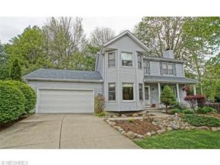 349 Middlefield Ct, Concord Township, OH 44077-5418