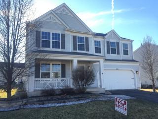 1011 Misty Brook Ln, Joliet, IL 60432-0740