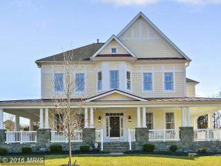 42631 Trappe Rock Ct, Ashburn, VA 20148-4105