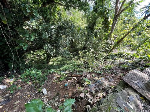 2920 Kalihi St, Honolulu HI  96819-3018 exterior