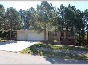 1595 Capadaro Ct, Woodmoor CO  80132-3401 exterior