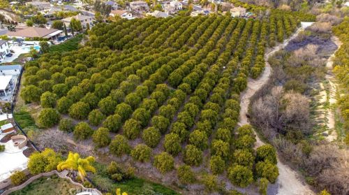 1133 Brasado Way, Riverside CA  92508-8717 exterior