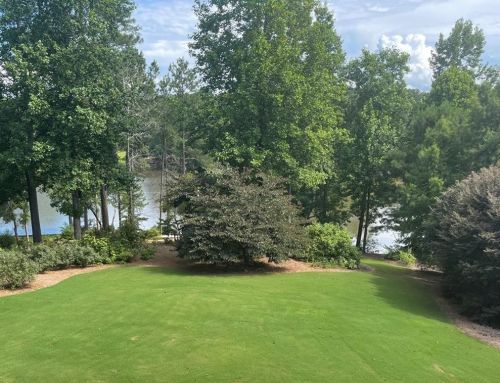 2744 Pitlochry St, Conyers GA  30094-6855 exterior