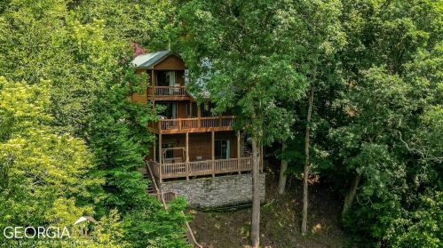 403 Licklog Rd, Ellijay, GA 30536-6308