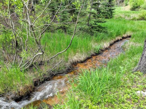 9148 Black Mtn Dr, Conifer CO 80433-9714 exterior