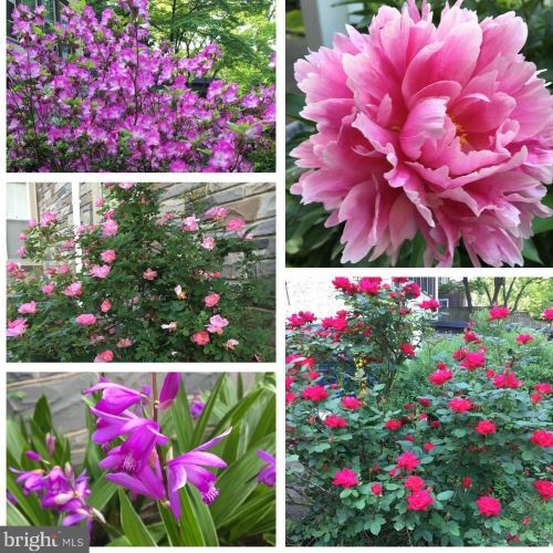 638 State St, Lancaster PA  17603-2641 exterior