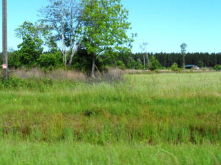 376 Forks Rd, Screven, GA 31560-9415