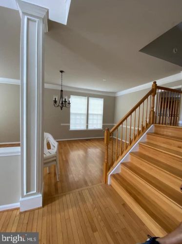 8484 Brutus Ct, Springfield, VA 22153-4006