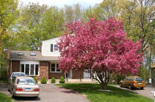 173 Hart St, Southington CT  06489-2442 exterior
