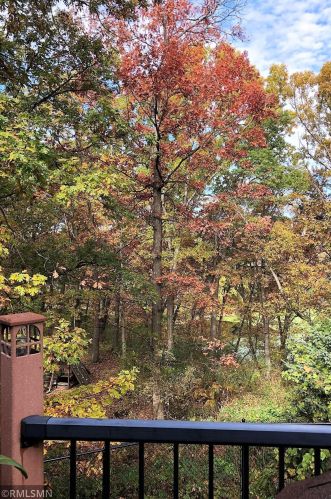 6603 129 St, Saint Paul MN  55124-7966 exterior