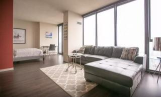 221 Columbus Dr, Chicago IL  60601-7801 exterior