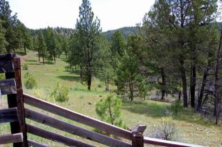 8680 Johnson Creek Rd, Prineville, OR 97754-9040