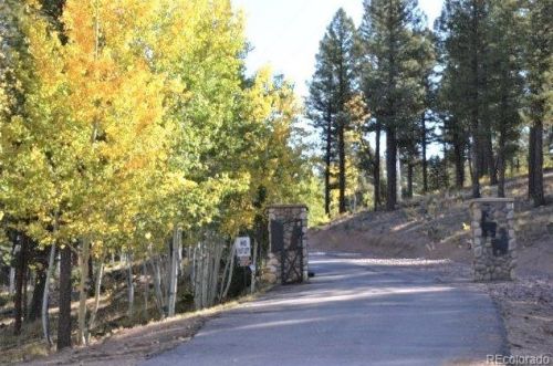 1115 Splendor Pt, Twin Rock, CO 80816-7104
