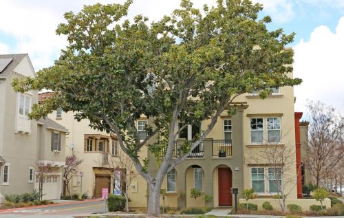 110 Calderon Ave, Mountain View CA  94041-1403 exterior