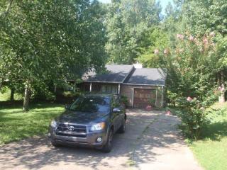 208 Colony Springs Dr, Holly Springs, GA 30188-5320