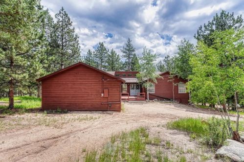 1307 Mount Evans Blvd, Pine, CO 80470-7995