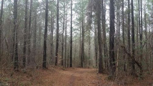 5253 Riverside Rd, Parks Crossroads, NC 27316-8266