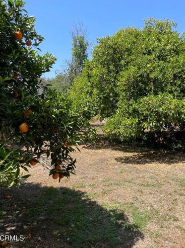 1634 Glorietta Ave, Glendale CA  91208-2010 exterior