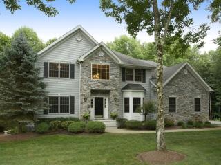 3 Natures Ct, Roxbury Township, NJ 07836-4209