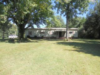 64 Old Turkey Creek Rd, Three Way, TN 38343-6233