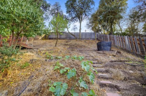 1235 Riv Blf Dr, Valley Home CA 95361-2655 exterior