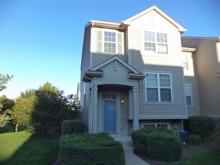 770 Cherry Creek Dr, Volo IL  60030-3358 exterior