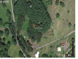 56515 Lee Falls Rd, Gaston, OR 97119-7772
