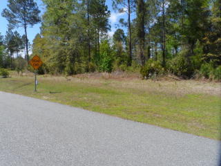 18 Ontario Ct, Brunswick, GA 31523-3839