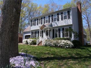 506 Overcliff Ct, Midlothian VA  23114-3040 exterior