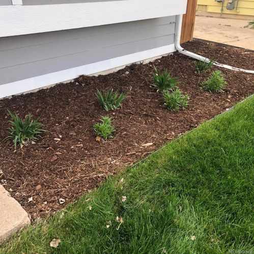 1295 Umatilla St, Denver CO  80204-3438 exterior