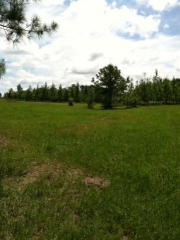561 Old 39 Rd, Georgetown, GA 39854-3352