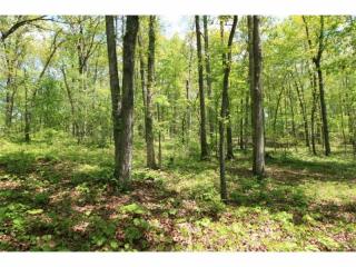 581 Grizzle Rd, Dawsonville, GA 30534-0066