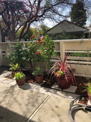 6175 Montgomery Pl, San Jose, CA 95135-1428