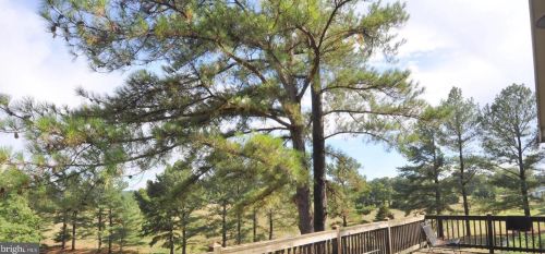 399 Clearfield Dr, Berkeley Springs WV 25411-6313 exterior