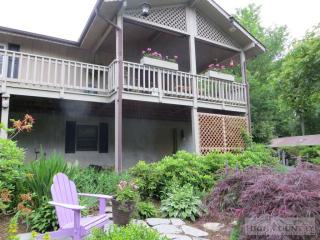 91 Thorn Wood Loop, Beech Bottom, NC 28657-8115