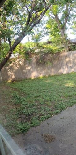 9812 Dallum Dr, Austin TX  78753-4312 exterior