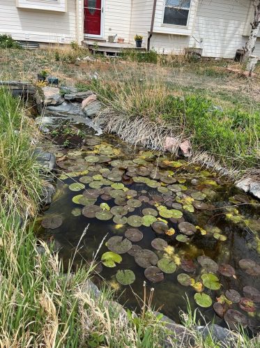 8159 Sun Country Dr, Elizabeth CO 80107-9343 exterior