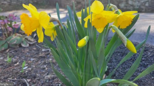 94 Eldrid Dr, Silver Spring MD 20904-2910 exterior