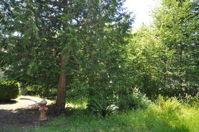 1619 Emerald Lake Way, Bellingham, WA 98226-7836