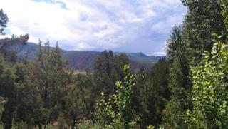 350 Big Pinon Dr, Basalt, CO 81621-9329