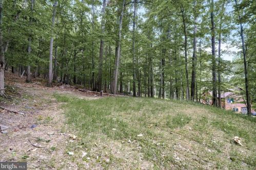 336 Windsong Rd, Harpers Ferry WV  25425-5485 exterior