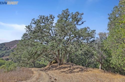 10397 Cull Canyon Rd, Hayward, CA 94552-9523