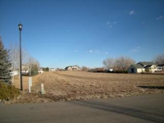 9125 Owl Lake Dr, Longmont, CO 80504-5468