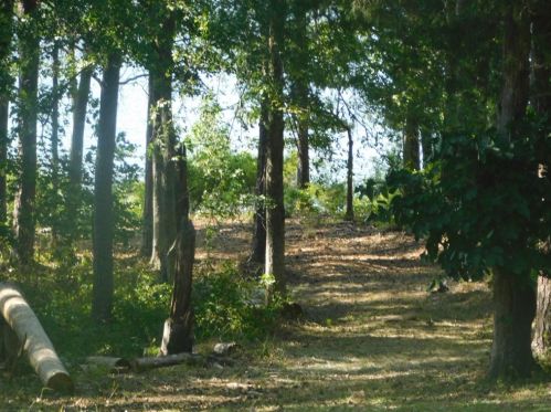 1121 Miami Dr, Lincolnton, GA 30817-3801
