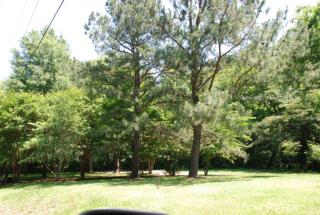 85 Murrell St, Somerville, TN 38060-4289