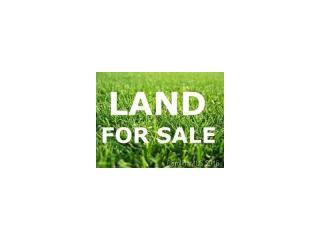 1021 Old Pinckney Rd, York, SC 29745-8567