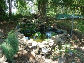 1477 Double D Dr, Pigeon Forge, TN 37876-0289